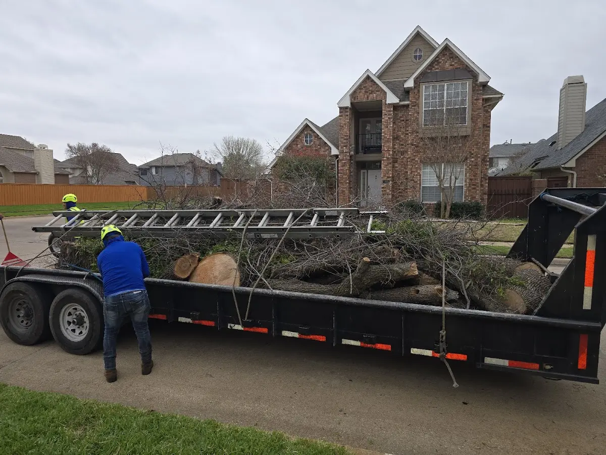 Expert Tree Pest Control with proper safety equipment in Mill Neck